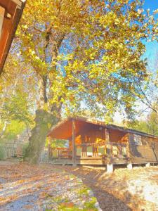 Maisons de vacances Rev'othijol Vacances : photos des chambres