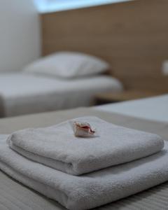 Serendipity Apartment Lungomare