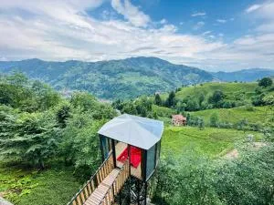 Organic village bungalow - Tobira