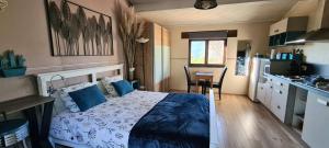 Appartements Studio de charme + terrasse : Verdon, lac, plages : photos des chambres