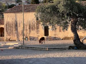 Color Villa - South Paradise 1