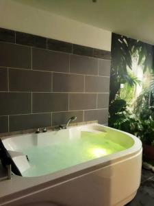 Studio romantique à Baixas avec Jacuzzi - 35m²