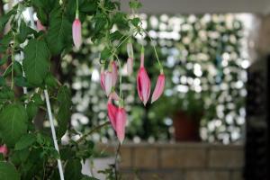 Double Room Supetar 5658d