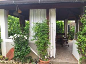 Apartments with parking space Supetarska Draga - Donja, Rab - 15999