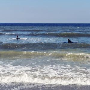 Perfect place for water lovers! Fireplace and Lakeview
