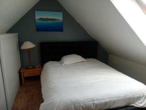Appartements La presqu' ile du Lenn face a la mer : photos des chambres