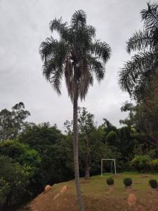 Recanto da Zizi e do Nezico