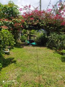 pequeña casa en finca cafetera