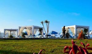 Chalet 3 room marina 5