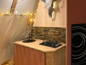 Appartements Evasion Nature: Tipi sur Pilotis avec Etang, Barque et Petanque a Maulde, Frontiere Belge - FR-1-510-148 : photos des chambres