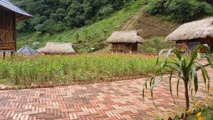 Homestay Highland Hmong