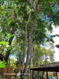 Casa Refúgio do Mato Perto da Vila Praia do Forte