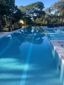 Casa Refúgio do Mato Perto da Vila Praia do Forte