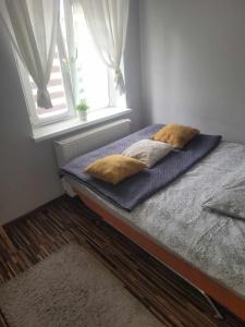 Apartament Rycerska