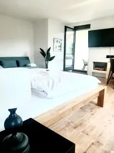 helle Wohnung am Park - 柯尼希斯布伦