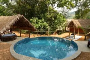 Gaga Bees Ella - Monaragala