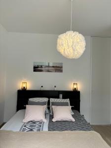 Appartement calme,lumineux ,hyper centre TOURS