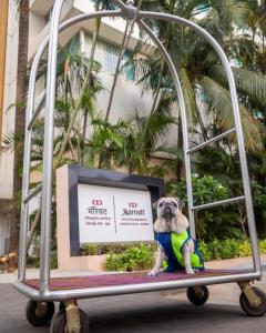 Marriott Executive Apartment - Lakeside Chalet, Mumbai