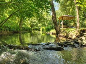 Cozy Creekside Cabin