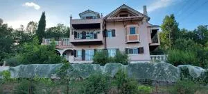 Among The Vines - Paliourí