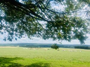 La balade en forêt - gîte 9 personnes en Ardenne
