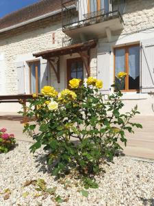 Maisons de vacances Maison spacieuses : photos des chambres