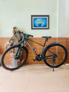 Teachers House Hanoi Homestay