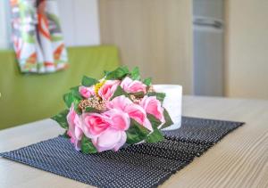 Mobil-home de Laura et Angélique au camping Le Neptune jusquà 4 personnes