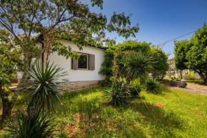 Beautiful Villa Casa Theresa with grill in Porec