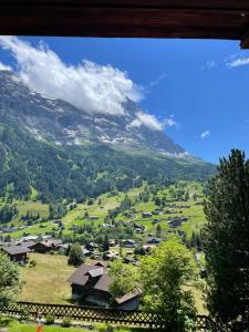 Cosy Swiss Apartment