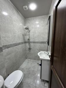 Two-bedroom apartment for rent in Batumi