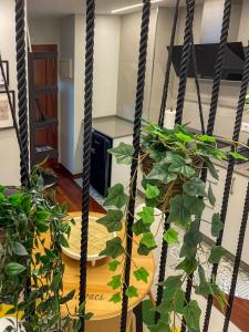 Areal90 studio-city By vigovacaciones