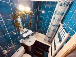 Cluj City Marasti Studio Andromeda