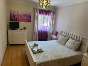 Montenegro Dreams - Campina