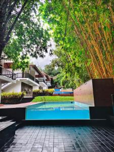 Athirapally Green Trees