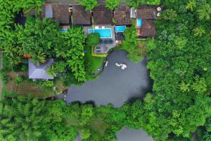 Athirapally Green Trees