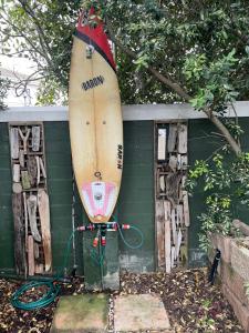 De Blauwvoet - Dolfyn (Sunset Beach)