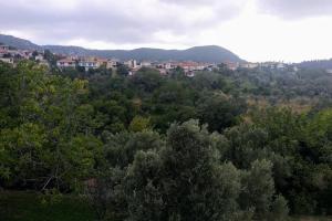 Green Garden appartment with mountain view, Vitala