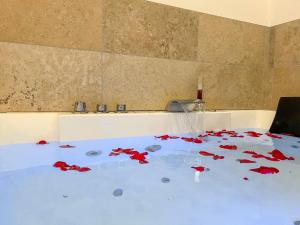 Appartements Bibemus Casa Maja - baignoire balneo - parking - terrasse : photos des chambres