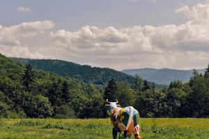 Makolandia - dom w jałowcach