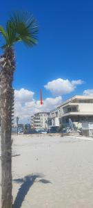 Sophy Apartments Mamaia