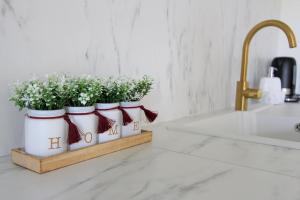 NOVA3 Apartment 8 ppl with garden near Disney