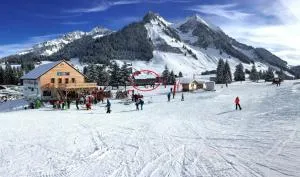 Le Nid Alpin - 莱提瓦