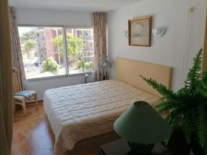 Casa Nova No active