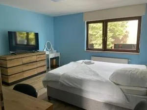 Cafe Hotel centrum - 布鲁赫萨尔