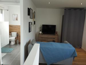 Appartements Studio au calme avec jardin : photos des chambres