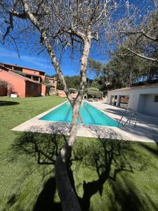 B&B / Chambres d'hotes La Maison Du Castellet : photos des chambres