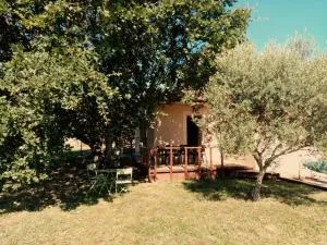 les chênes - Laurac-en-Vivarais