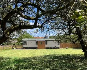 Stunning farm retreat - West Hoathley