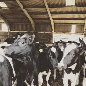 Stunning farm retreat